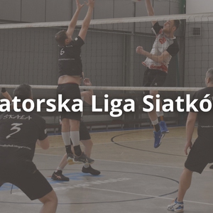 Amatorska Liga Siatkówki