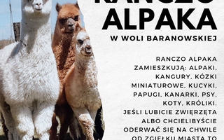 Ranczo Alpaka - Pomysł na wycieczkę