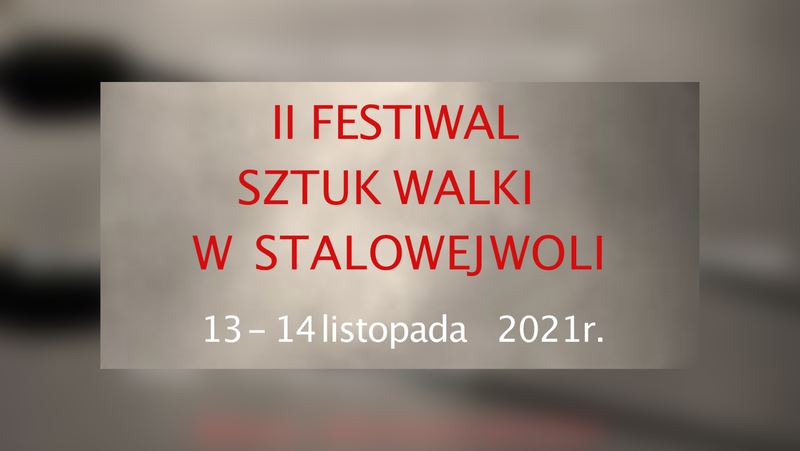 II Festiwal Sztuk Walki już wkrótce!