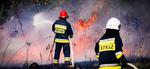Ponad 300 pożarów traw w marcu na Podkarpaciu