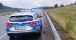 Pijany mężczyzna szedł drogą ekspresową w Nisku