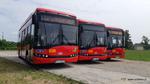 Jest przetarg na 5 kolejnych "elektryków" | Sztafeta.pl