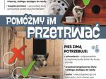ZADBAJ ZIMĄ O SWOJEGO CZWORONOGA