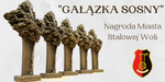 Trwa nabór wniosków o nagrodę "Gałązka Sosny"
