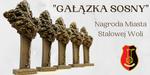 Trwa nabór wniosków o nagrodę "Gałązka Sosny" | Sztafeta.pl