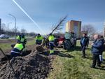 Ruszyła akcja nasadzeń dużych drzew i krzewów | Sztafeta.pl