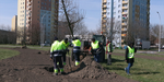 (VIDEO) Zielona, ekologiczna i piękna - nasza Stalowa Wola