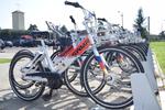 Rusza System Roweru Miejskiego - Miejski Zakład Komunalny Sp. z o.o. w Stalowej Woli