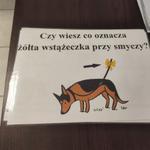 Zajęcia z dogoterapii jako forma wsparcia seniorów w Dziennym Domu Senior+ w Stalowej Woli