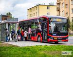 Znamy wykonawcę nowych przystanków autobusowych