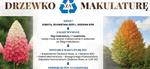 Przed nami 11. edycja "Drzewka za makulaturę"
