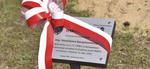 W mieście posadzono 17 Dębów Pamięci, jeden z nich ku czci lokalnego bohatera