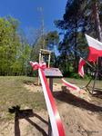 STALOWA WOLA. Posadzili dąb ku pamięci aspiranta Kwapisiewicza z Rozwadowa | Sztafeta.pl