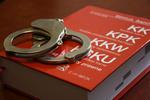 Kolejne osoby zatrzymane przez stalowowolskich poszukiwaczy