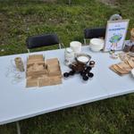 Osiedlowy Piknik Ekologiczny na Fabrycznym w Stalowej Woli