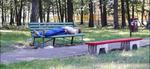 Ile zwolnień alkoholowych wystawia się u nas?