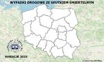 Policyjna Mapa Wypadków Drogowych ze Skutkiem Śmiertelnym - Wakacje 2025