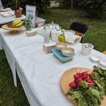 Osiedlowy Piknik Ekologiczny na osiedlu Energetyków w Stalowej Woli