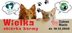 Wielka świąteczna akcja na rzecz KOTÓW i PSÓW. Pomożecie?