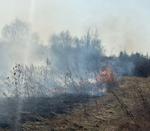 Pożar na granicy powiatów. Policjanci zatrzymali sprawcę podpalenia